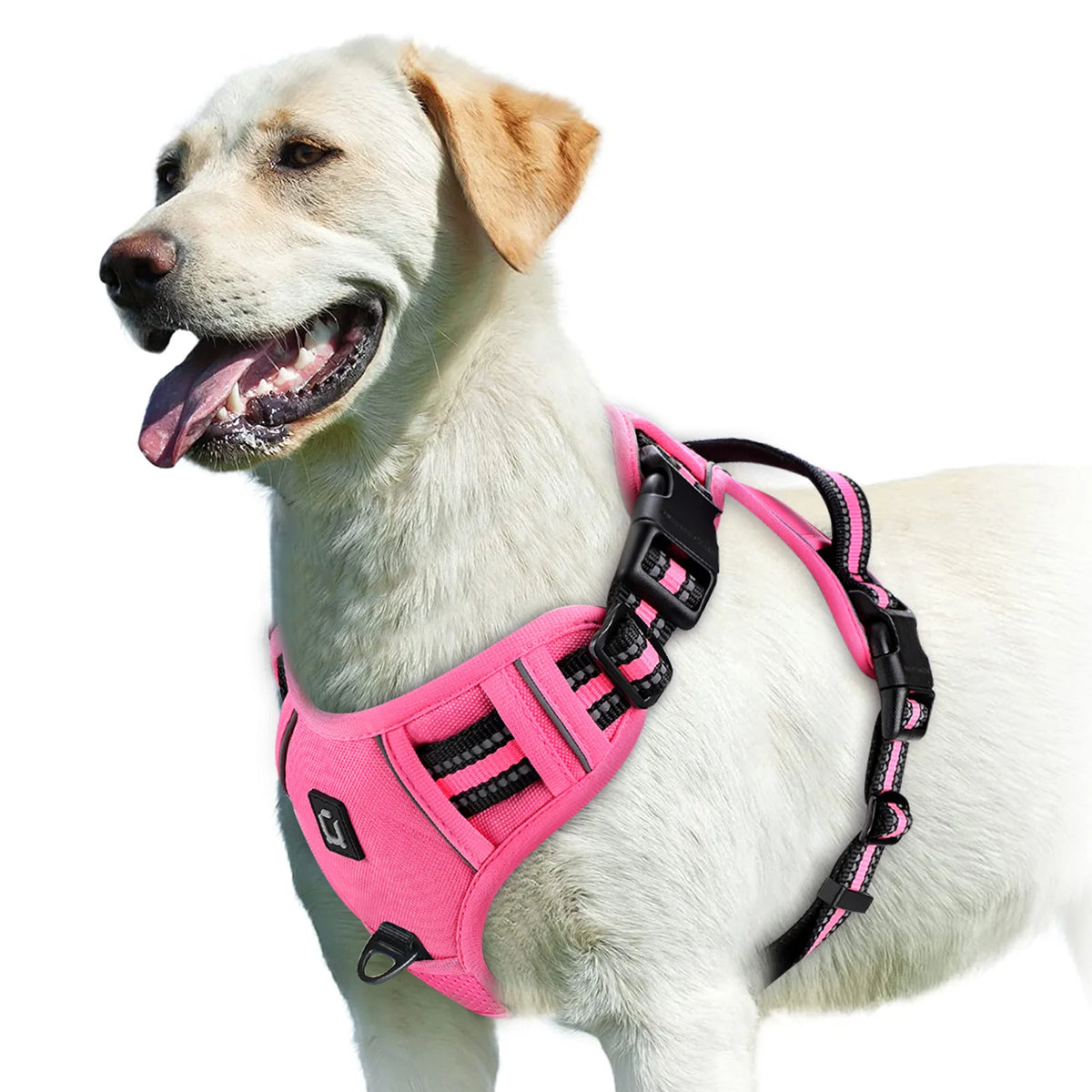 No Pull Dog Harness