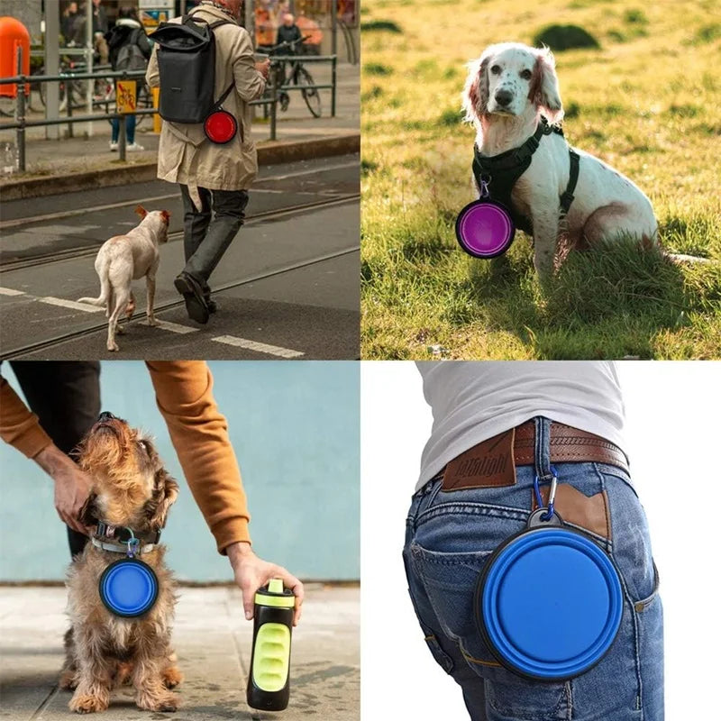 Travel Dog Feeder & Water Bottle