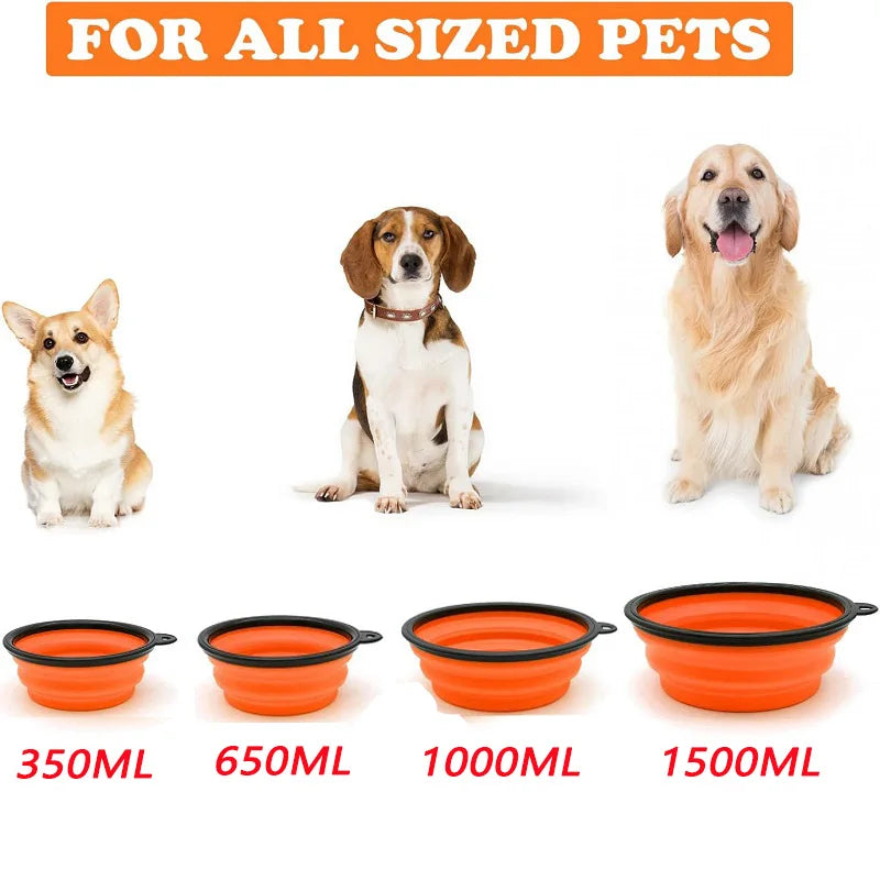 Travel Dog Feeder & Water Bottle