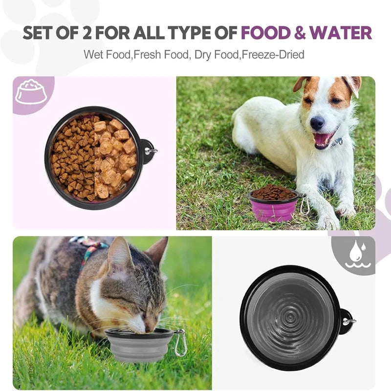 Travel Dog Feeder & Water Bottle