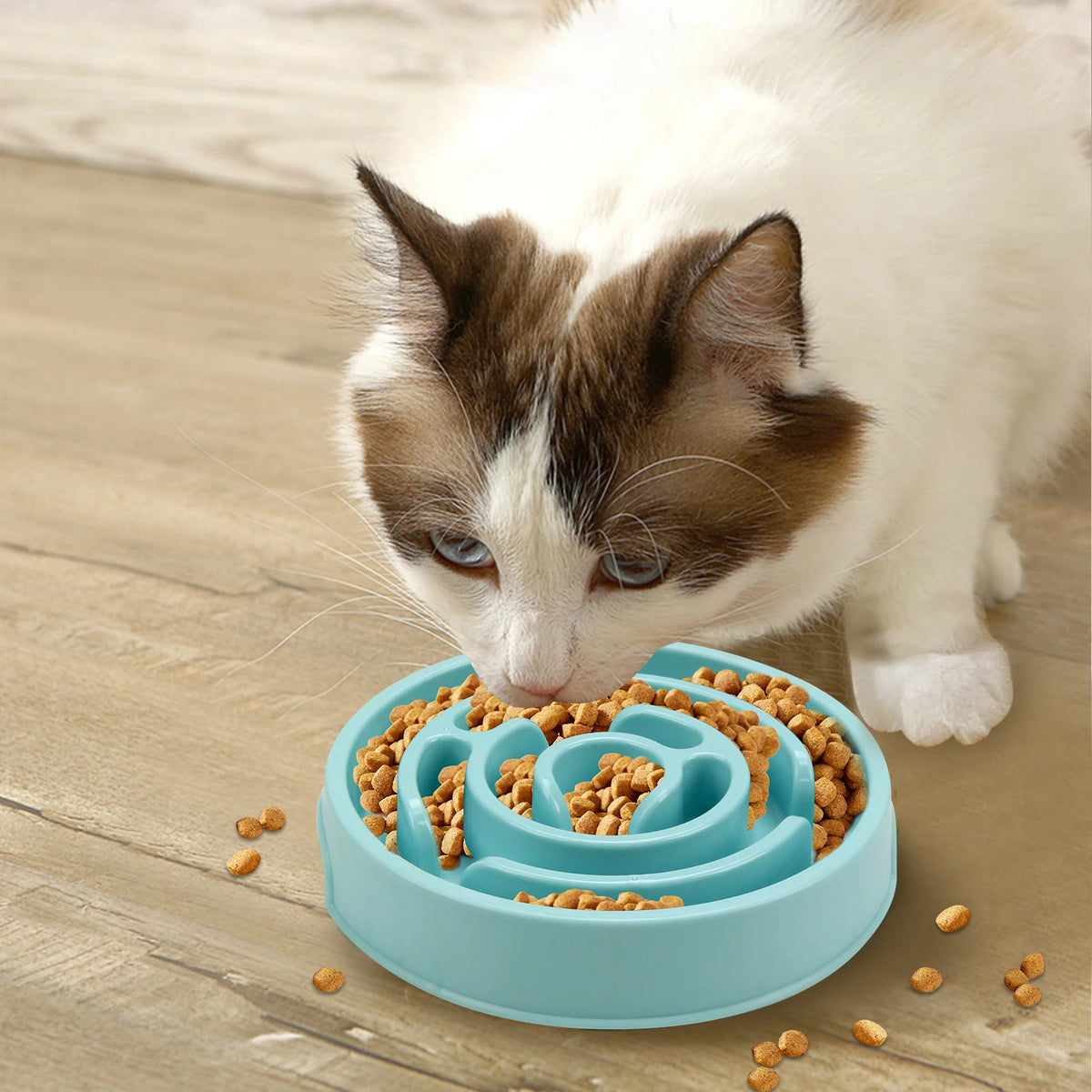Non-Slip Slow Feeder Dog Bowl