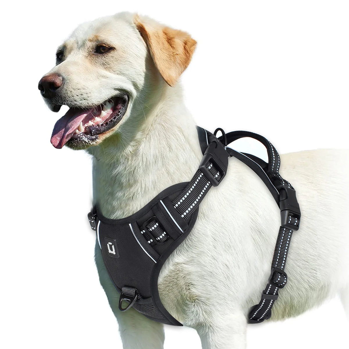 No Pull Dog Harness
