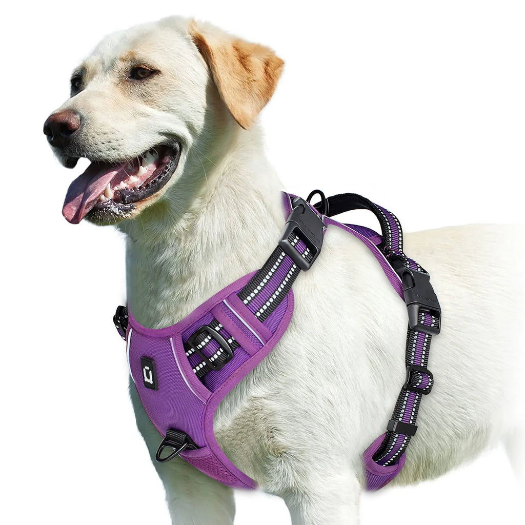 No Pull Dog Harness